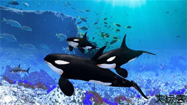 虎鲸模拟器中文版