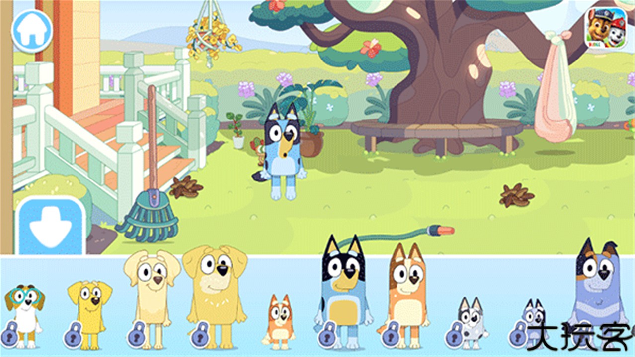 布鲁伊一起玩吧2025