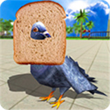 鸽子模拟器手机版