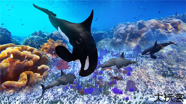 虎鲸模拟器中文版