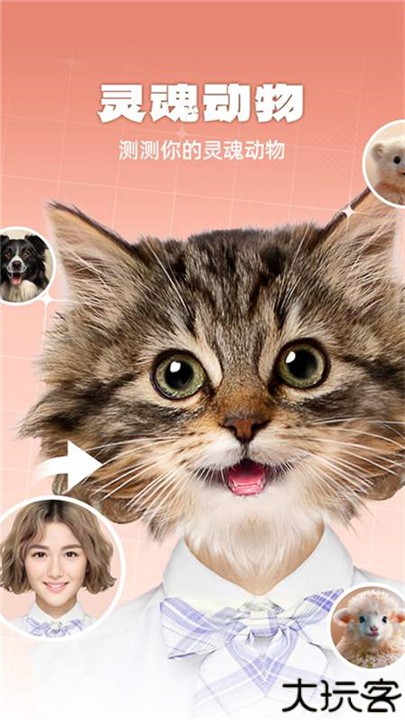 灵魂宠物app