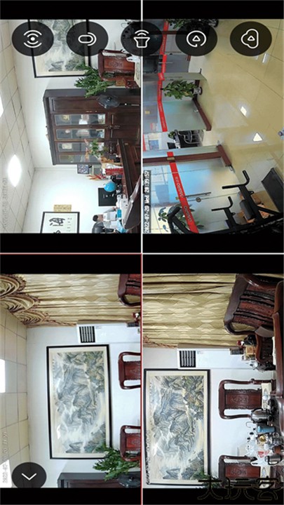 小强当家安卓版