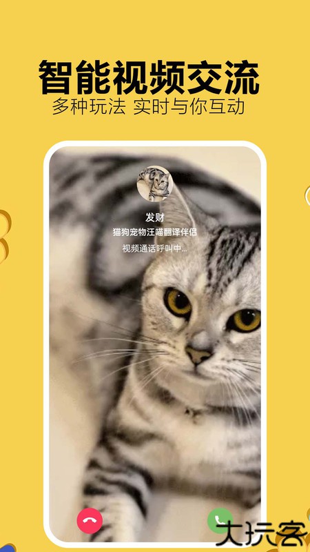 猫狗宠物汪喵翻译伴侣