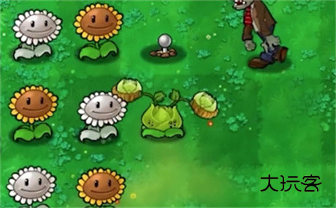 植物大战僵尸内鬼版游戏截图4