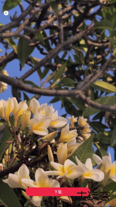 TiPss海外版安卓下载2025官方正版v1.1.2 最新版本