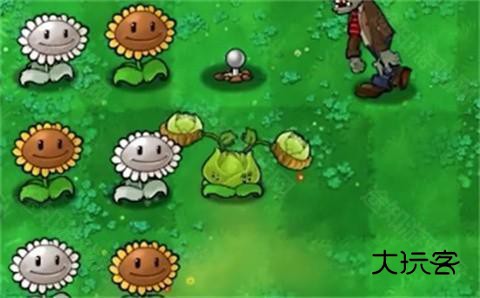 植物大战僵尸内鬼版