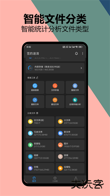 雪豹速清正版V2.9.5