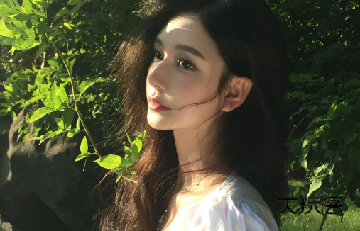 电鸽app趣岛安卓下载 电鸽app趣岛安卓下载