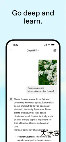 ChatGPT中文版v1.2025.014