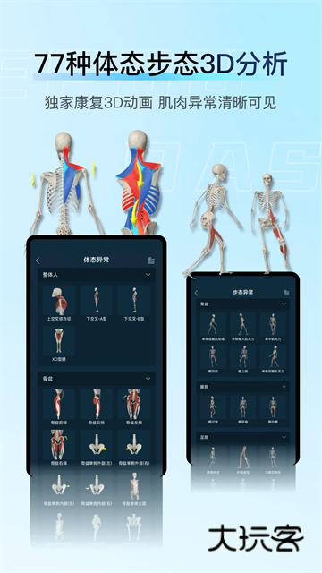 解剖大师官网免费版v5.1.0