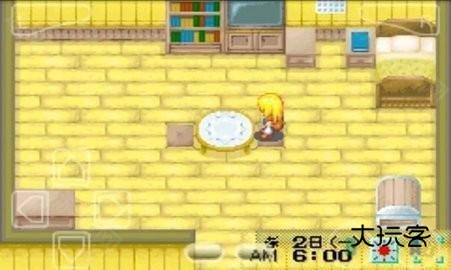 牧场物语女孩汉化版