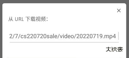 realplayer从URL下载视频