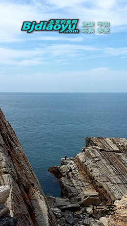 京钓网安卓版v3.3.10