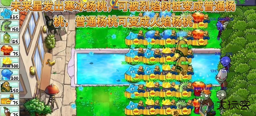 植物大战僵尸精华版