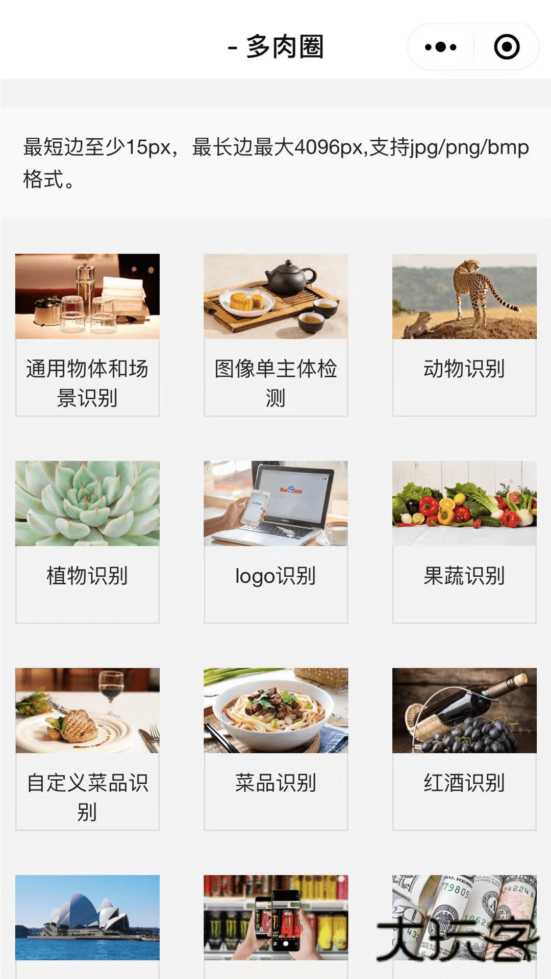 多肉圈安卓最新版v4.0