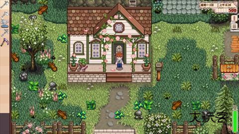 星露谷物语山谷女孩