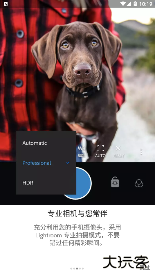 lightroom免费版安卓免登录v10.8.3
