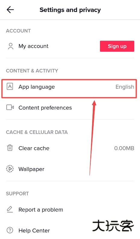 TikTok抖音国际版, TikTok抖音国际版