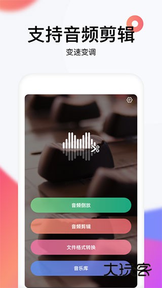 reversevoice免费版v1.9