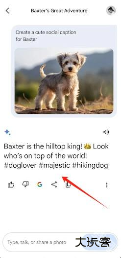 Google Gemini AI官方版 Google Gemini AI官方版