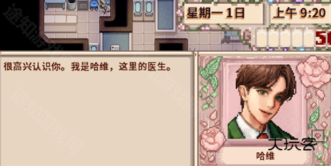 星露谷物语山谷女孩