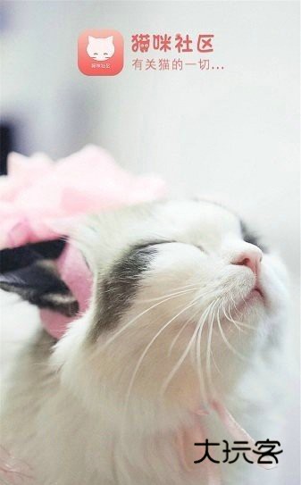猫咪社区正版v5.9.9