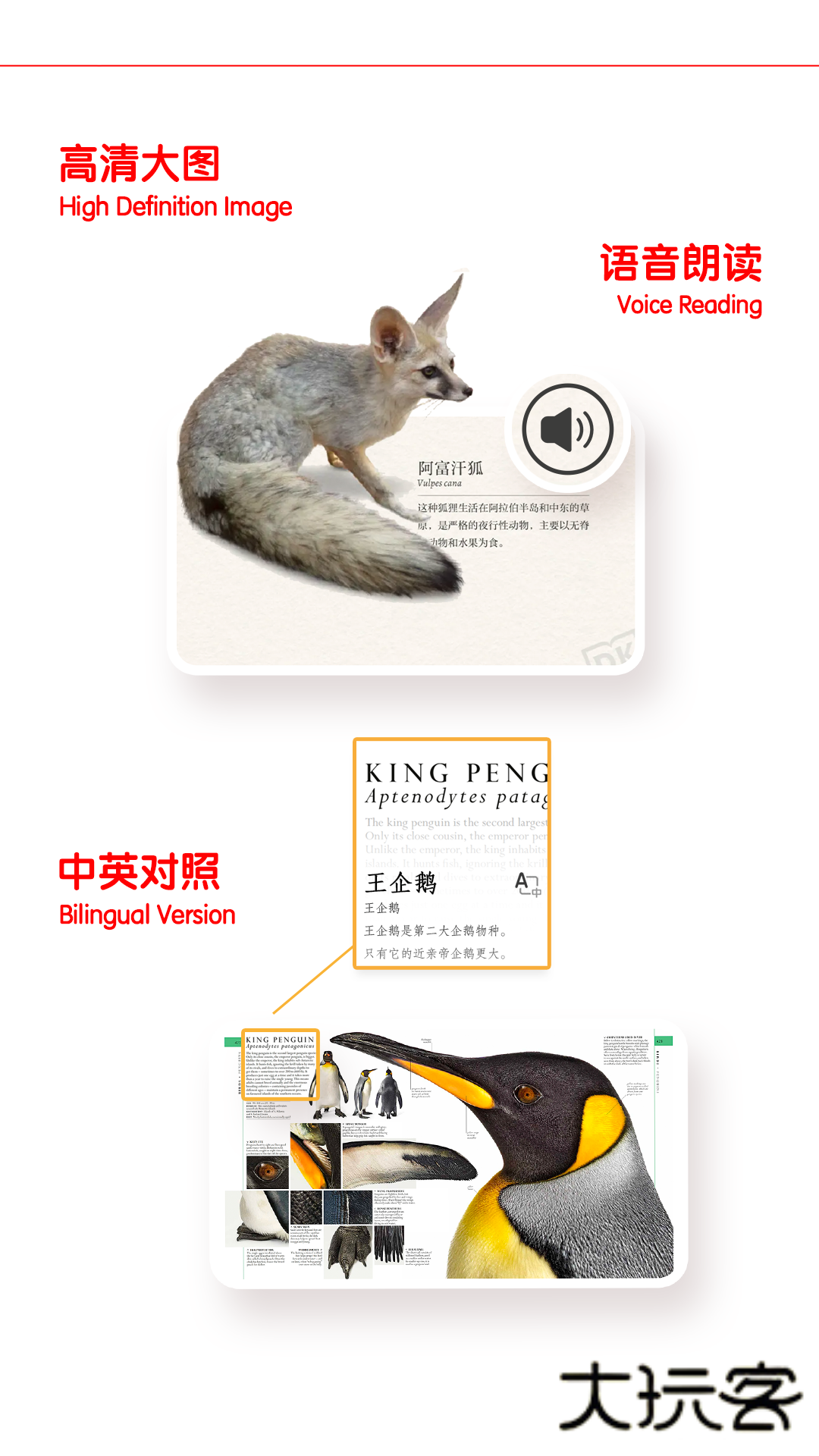 DK百科安卓版v2.0.44