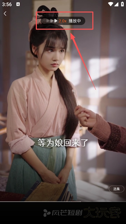 风芒短剧下载手机版