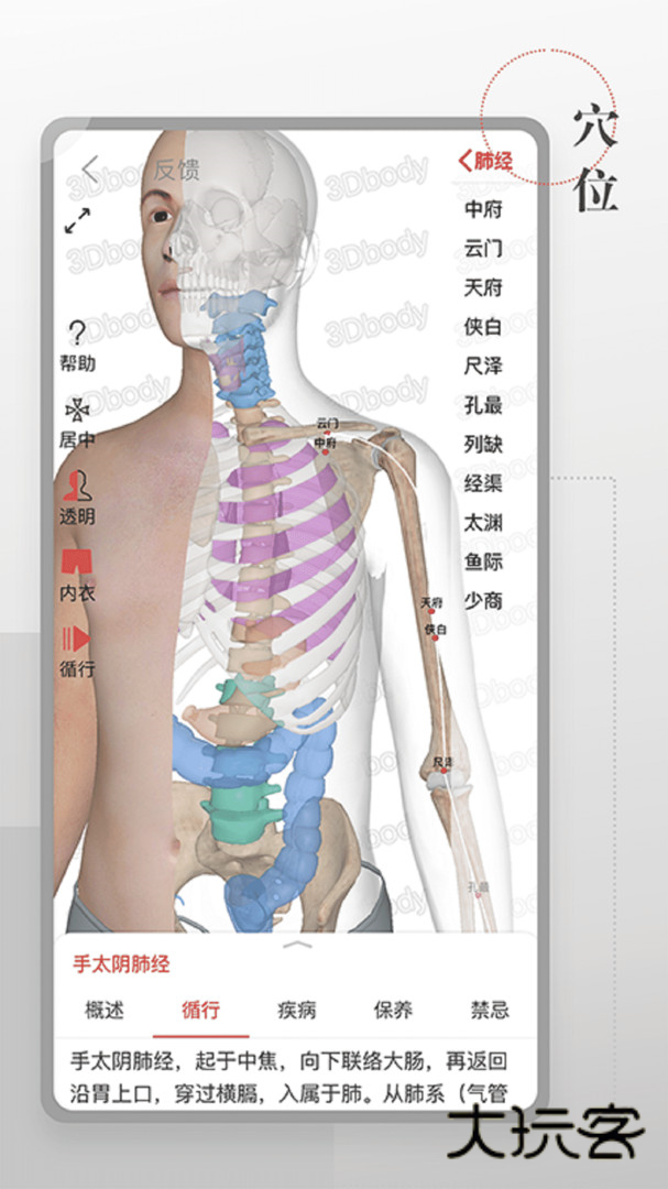 第三人体app官网最新版安装v1.3.2