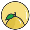 小柚子官网最新版安装v4.3.4