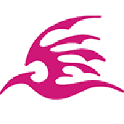 飞极速手机版免费版v5.1