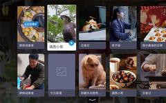 电视家电视版安装包v1.0.21