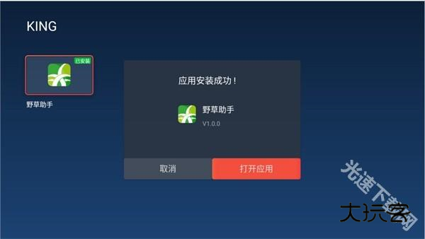 野草助手电视版