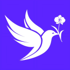 布谷网app安卓版本下载v1.0.4 最新版