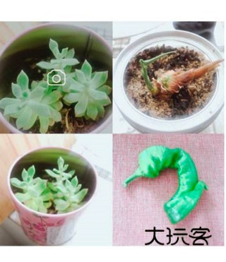 无他相机2023最新版8