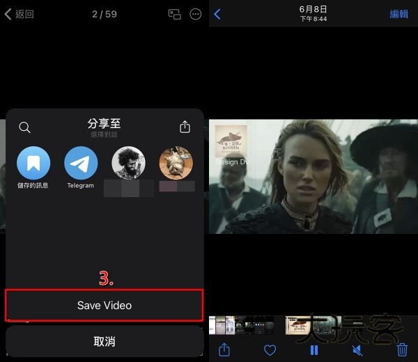 Telegraph安卓手机版