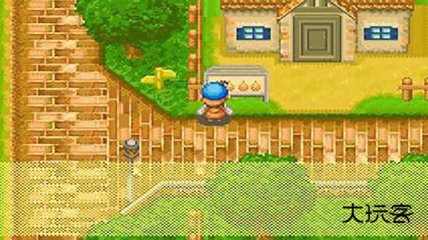 牧场物语矿石镇的伙伴们男孩版(人物喜好)v2.0.0安卓版