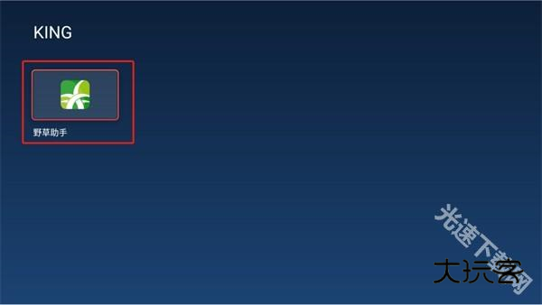 野草助手电视版