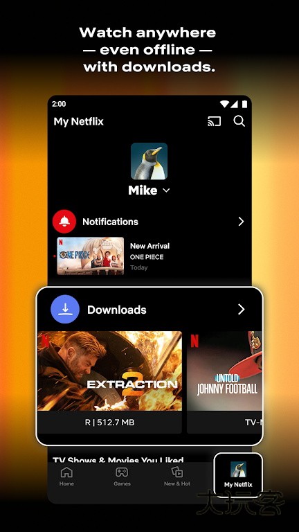 Netflix手机版v8.139.1build2451108