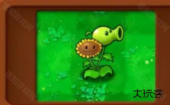 植物大战僵尸杂交植物