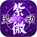 灵动紫微免费版v5.4.3