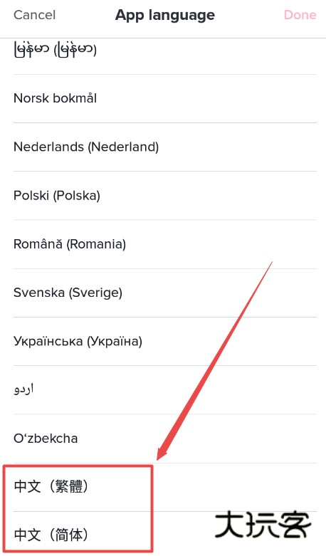 TikTok抖音国际版, TikTok抖音国际版