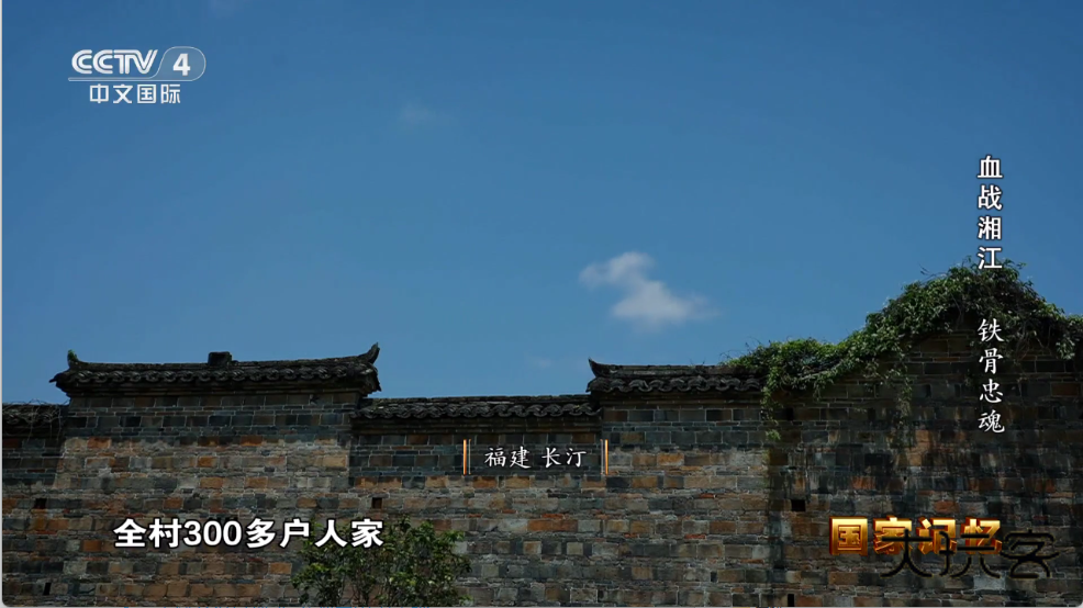 乘风TV最新版v1.0.3