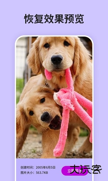 强力恢复精灵安卓版v8.4.0