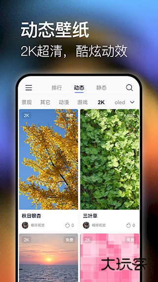 极壁纸软件安卓最新版安装v1.1.1