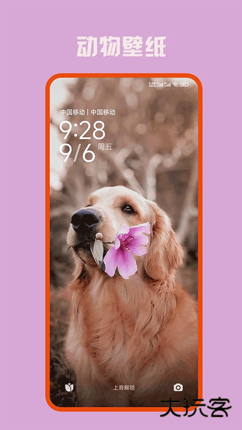口袋免费壁纸官网v10.0.803