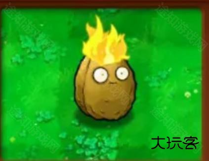 植物大战僵尸杂交植物