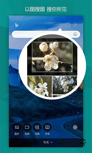 bing国际版(搜索引擎)最新版v31.2.430424002