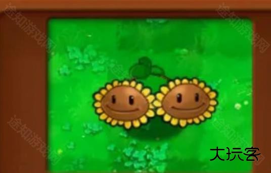 植物大战僵尸杂交植物