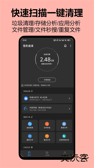 雪豹速清正版V2.9.5